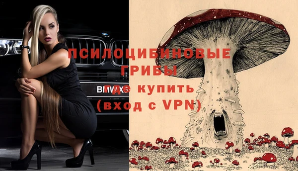 твердый Михайловка