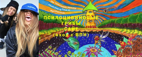 героин Михайлов