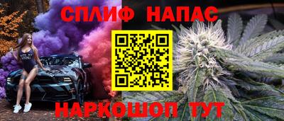 мдпв Гусь-Хрустальный