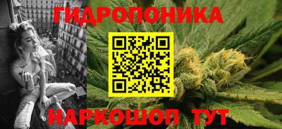 мдпв Гусь-Хрустальный