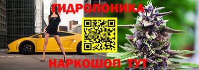 твердый Берёзовский