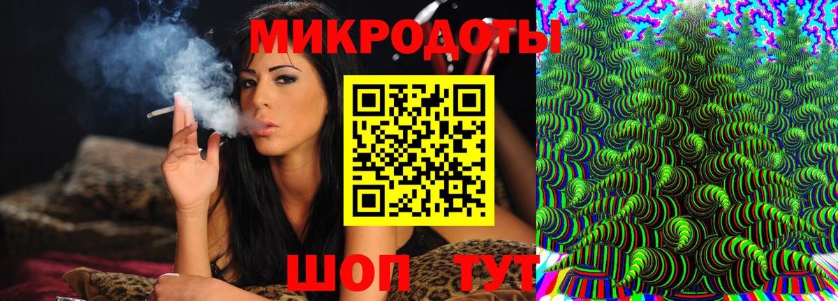 Галлюциногенные грибы Psilocybe Дмитров
