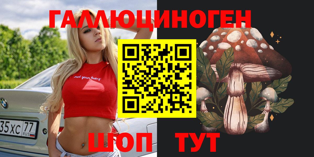 Псилоцибиновые грибы мицелий  купить   Галлюциногенные грибы Magic Shrooms  Дмитров 