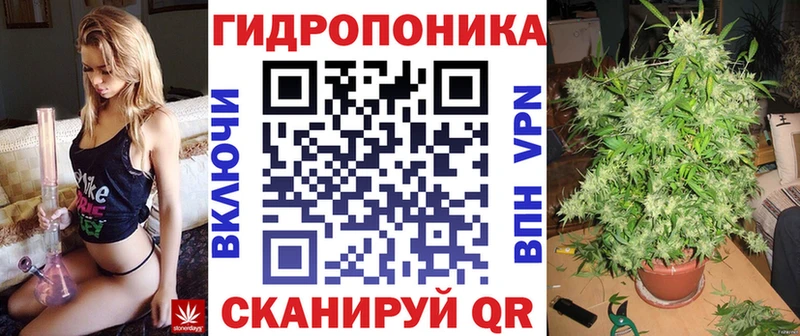 Каннабис семена наркота Дмитров